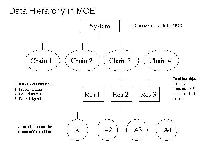 Data Hierarchy in MOE 