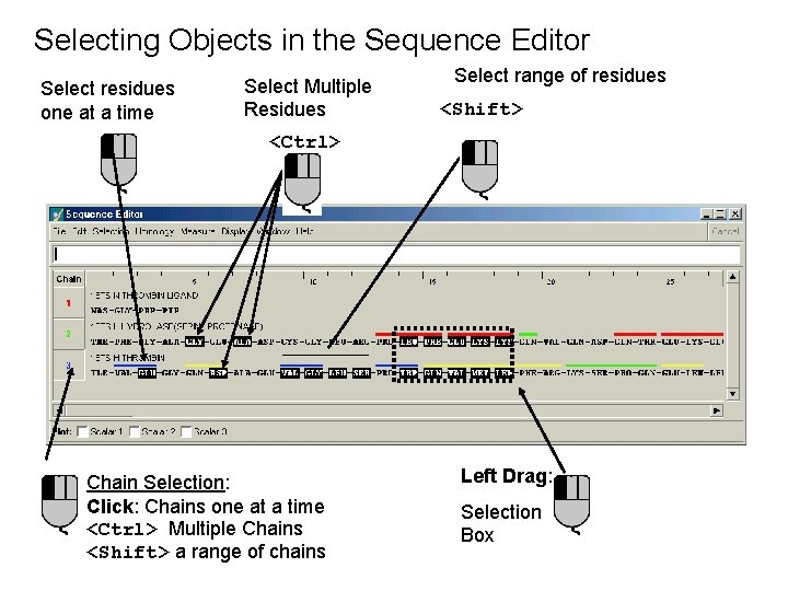 Selecting Objects in the Sequence Editor Select residues one at a time Select Multiple