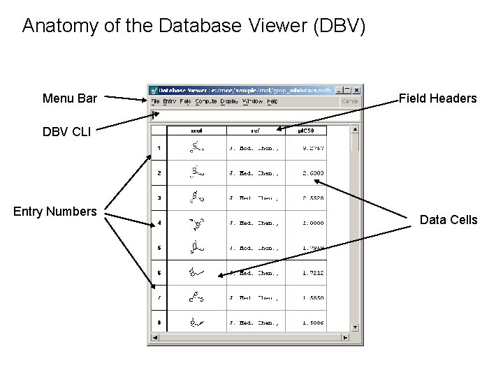 Anatomy of the Database Viewer (DBV) Menu Bar Field Headers DBV CLI Entry Numbers