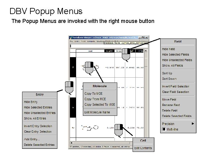 DBV Popup Menus The Popup Menus are invoked with the right mouse button 