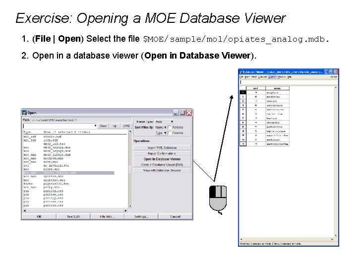 Exercise: Opening a MOE Database Viewer 1. (File | Open) Select the file $MOE/sample/mol/opiates_analog.
