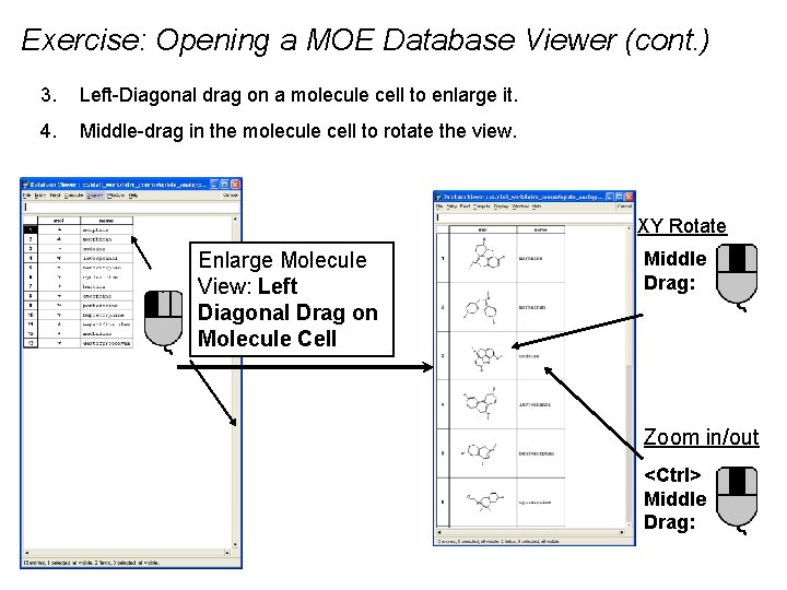 Exercise: Opening a MOE Database Viewer (cont. ) 3. Left-Diagonal drag on a molecule