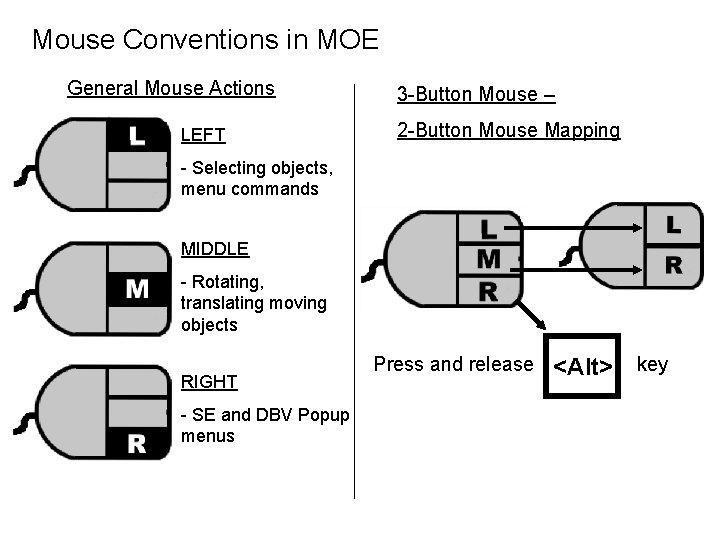 Mouse Conventions in MOE General Mouse Actions LEFT 3 -Button Mouse – 2 -Button