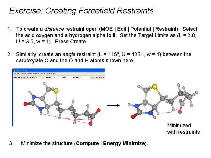 Exercise: Creating Forcefield Restraints 1. To create a distance restraint open (MOE | Edit