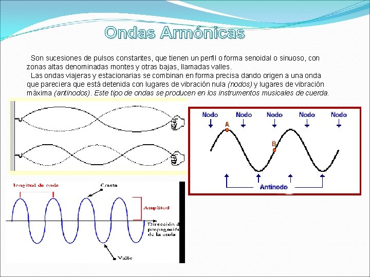 Ondas Armónicas Son sucesiones de pulsos constantes, que tienen un perfil o forma senoidal