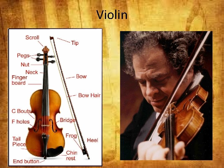 Violin 
