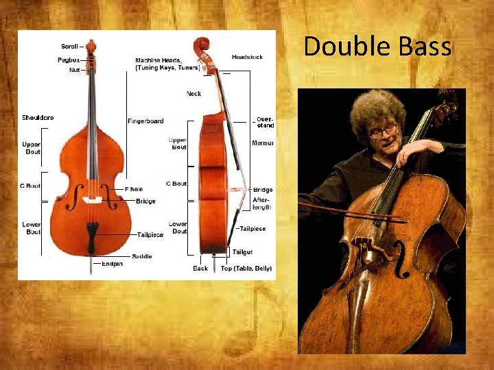 Double Bass 