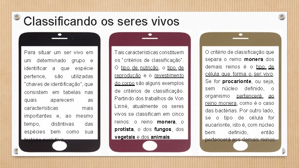 Classificando os seres vivos Para situar um ser vivo em um determinado grupo e