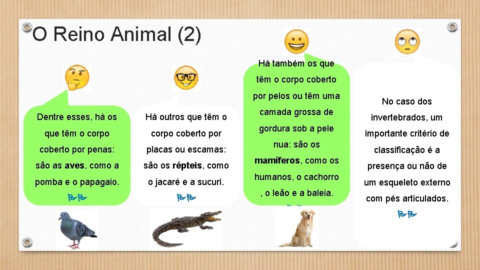 O Reino Animal (2) Há também os que têm o corpo coberto por pelos