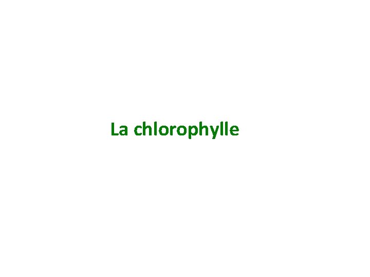 La chlorophylle 