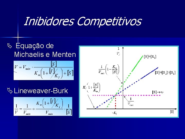 Inibidores Competitivos Ä Equação de Michaelis e Menten Ä Lineweaver-Burk 