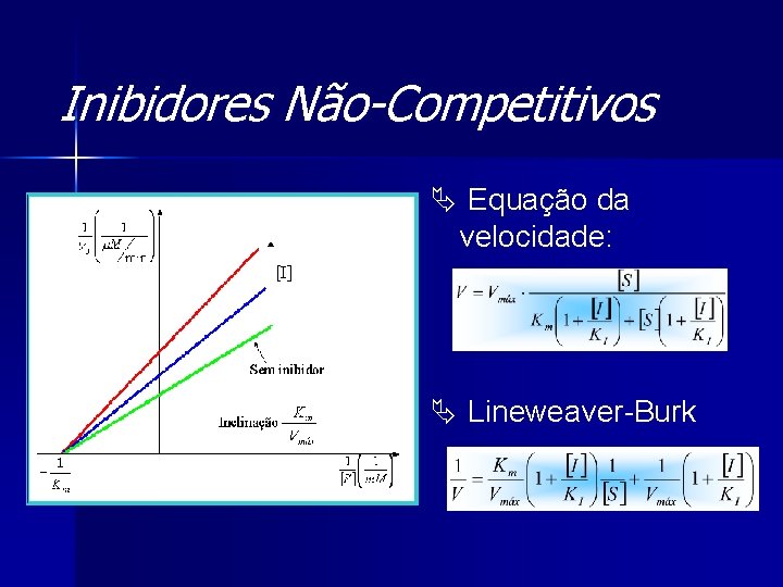 Inibidores Não-Competitivos Ä Equação da velocidade: Ä Lineweaver-Burk 