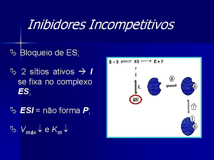 Inibidores Incompetitivos Ä Bloqueio de ES; Ä 2 sítios ativos I se fixa no