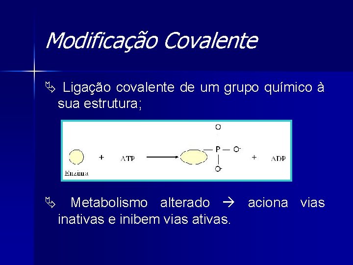 Modificação Covalente Ä Ligação covalente de um grupo químico à sua estrutura; Ä Metabolismo