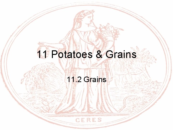 11 Potatoes & Grains 11. 2 Grains 