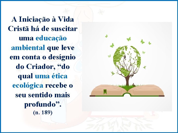 A Iniciação à Vida Cristã há de suscitar uma educação ambiental que leve em