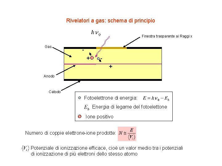 Rivelatori a gas: schema di principio Finestra trasparente ai Raggi x Gas + +