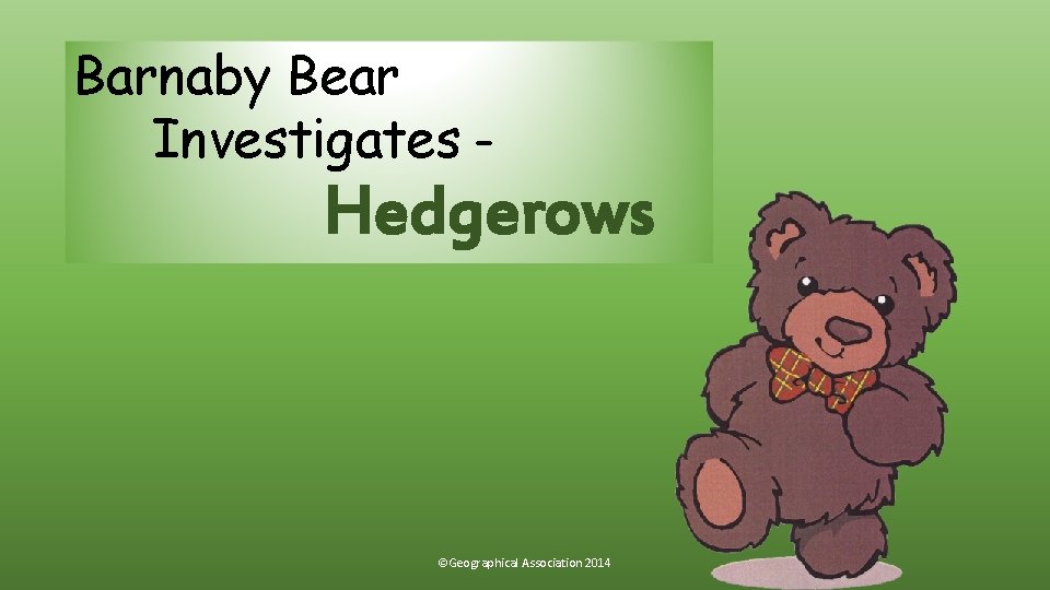 Barnaby Bear Investigates – Hedgerows ©Geographical Association 2014 