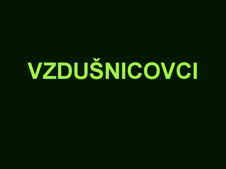 VZDUŠNICOVCI 