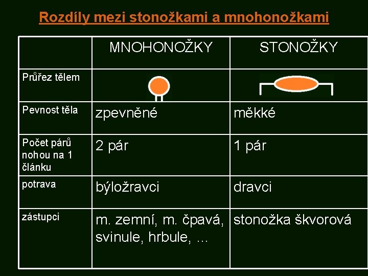 Rozdíly mezi stonožkami a mnohonožkami MNOHONOŽKY STONOŽKY Průřez tělem Pevnost těla zpevněné měkké Počet