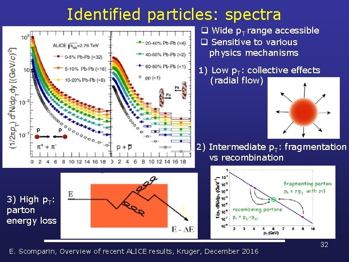 Identified particles: spectra q Wide p. T range accessible q Sensitive to various physics