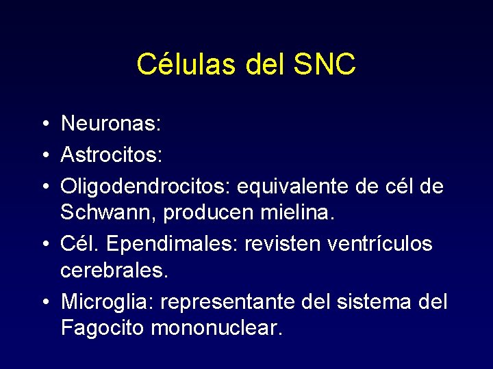 Células del SNC • Neuronas: • Astrocitos: • Oligodendrocitos: equivalente de cél de Schwann,