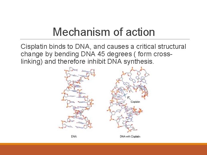 Mechanism of action Cisplatin binds to DNA, and causes a critical structural change by