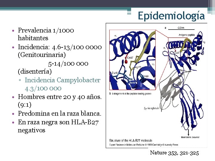 Epidemiología • Prevalencia 1/1000 habitantes • Incidencia: 4. 6 -13/100 0000 (Genitourinaria) 5 -14/100