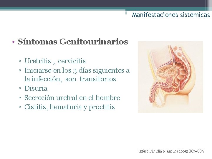 Manifestaciones sistémicas • Síntomas Genitourinarios ▫ Uretritis , cervicitis ▫ Iniciarse en los 3