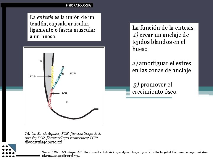 FISIOPATOLOGIA La entesis es la unión de un tendón, cápsula articular, ligamento o fascia