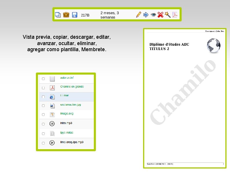 Vista previa, copiar, descargar, editar, avanzar, ocultar, eliminar, agregar como plantilla, Membrete. 