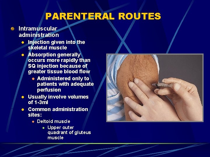 PARENTERAL ROUTES Intramuscular administration l l Injection given into the skeletal muscle Absorption generally