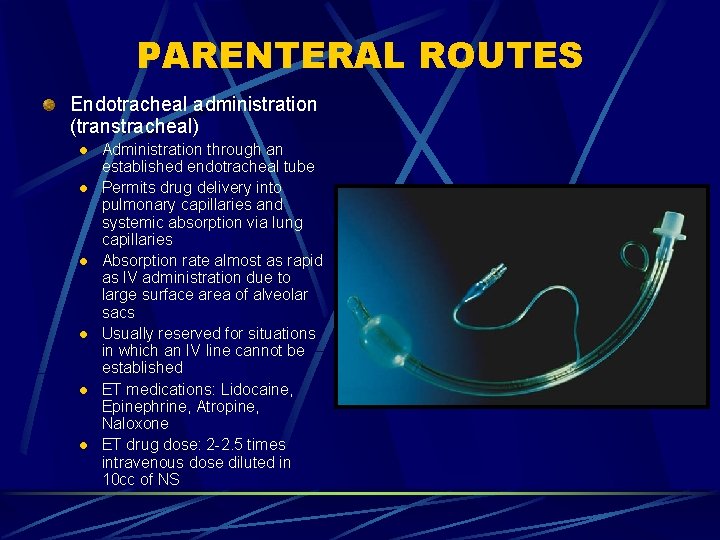PARENTERAL ROUTES Endotracheal administration (transtracheal) l l l Administration through an established endotracheal tube