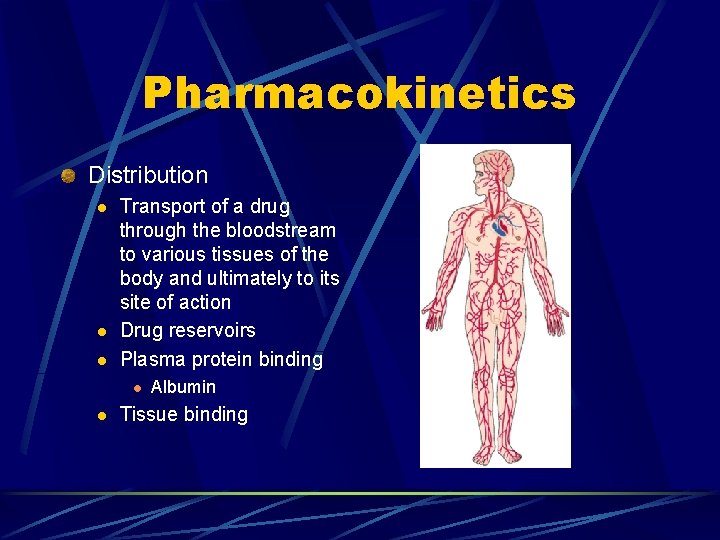 Pharmacokinetics Distribution l l l Transport of a drug through the bloodstream to various