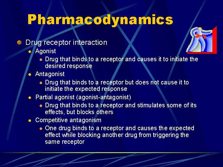 Pharmacodynamics Drug receptor interaction l l Agonist l Drug that binds to a receptor