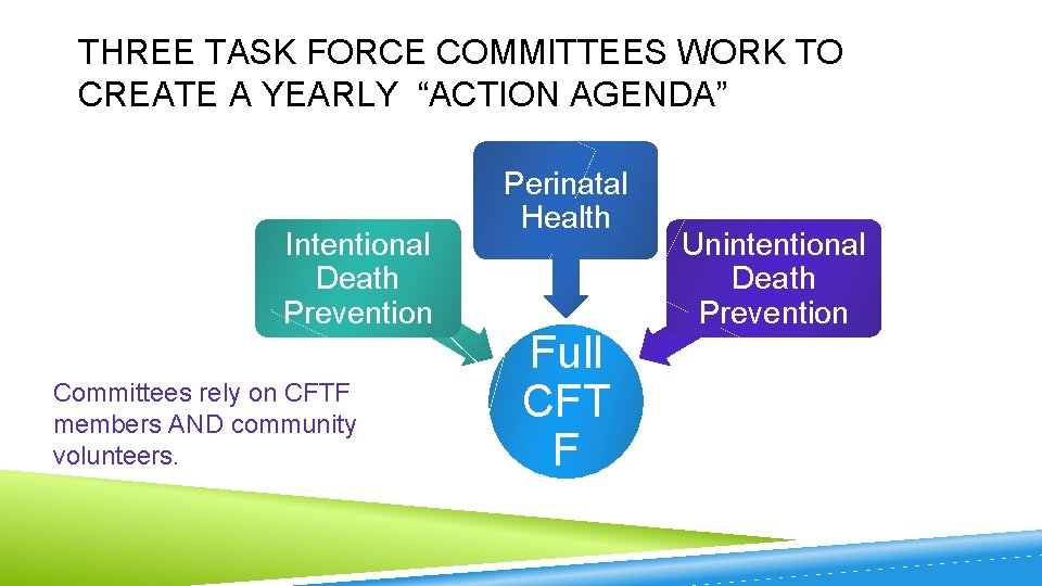 THREE TASK FORCE COMMITTEES WORK TO CREATE A YEARLY “ACTION AGENDA” Intentional Death Prevention