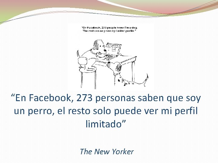 “En Facebook, 273 personas saben que soy un perro, el resto solo puede ver