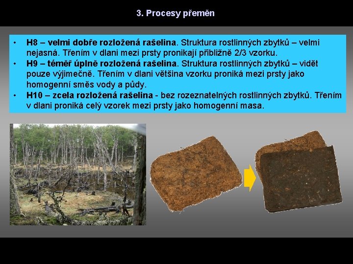 3. Procesy přeměn • • • H 8 – velmi dobře rozložená rašelina. Struktura