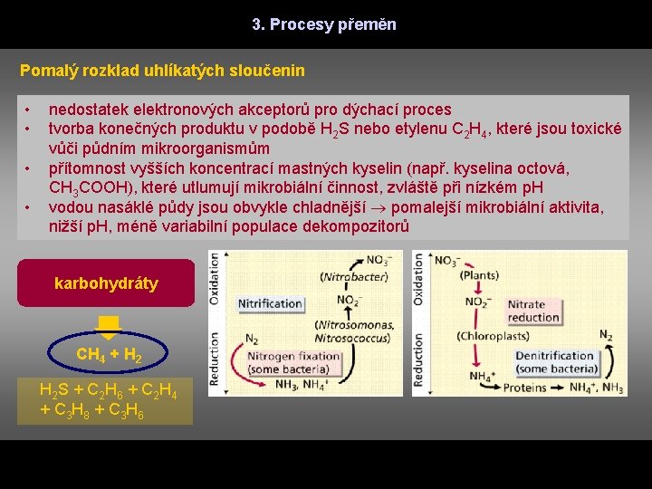 3. Procesy přeměn Pomalý rozklad uhlíkatých sloučenin • • nedostatek elektronových akceptorů pro dýchací