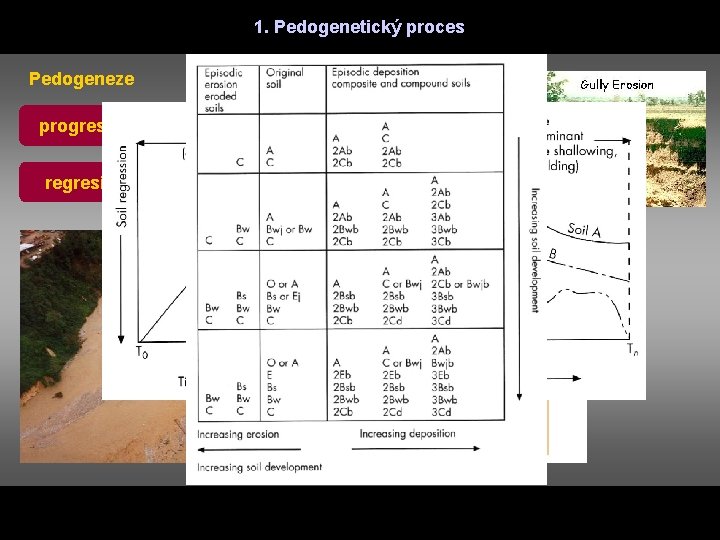 1. Pedogenetický proces Pedogeneze progresivní kontinuální změny uvnitř půdy vedoucí ke fyzikální i chemické