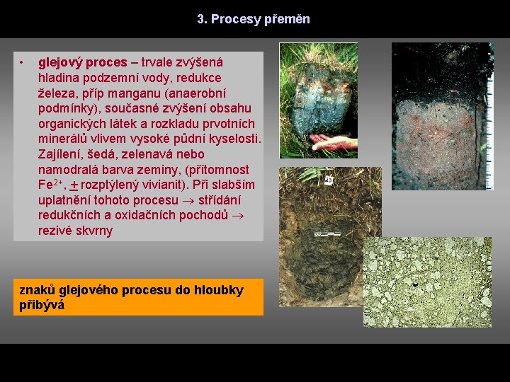 3. Procesy přeměn • glejový proces – trvale zvýšená hladina podzemní vody, redukce železa,