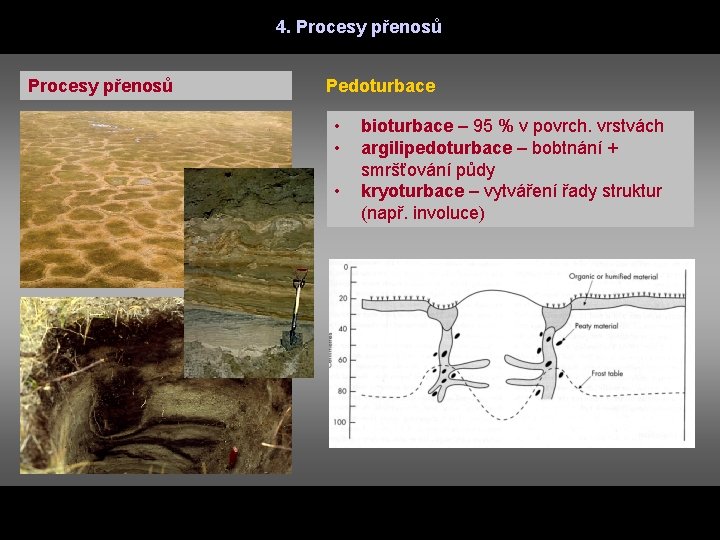 4. Procesy přenosů Pedoturbace • • • bioturbace – 95 % v povrch. vrstvách