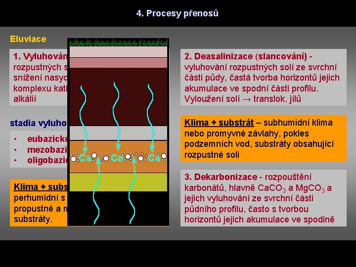 4. Procesy přenosů Eluviace 1. Vyluhování (acidifikace) - posun rozpustných solí, vyluhování iontů snížení