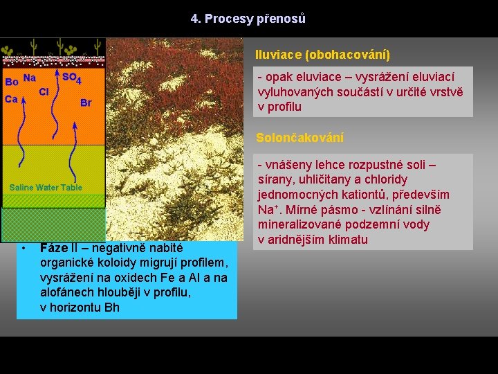 4. Procesy přenosů Anorganická teorie tvorby podzolů • • Fáze I – uvolnění hydroxy