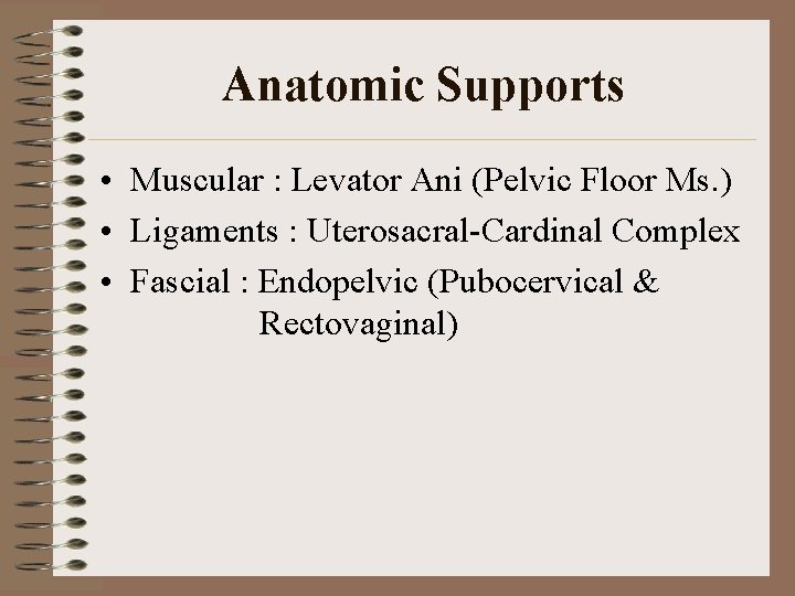 Anatomic Supports • Muscular : Levator Ani (Pelvic Floor Ms. ) • Ligaments :