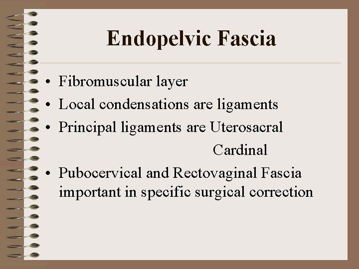 Endopelvic Fascia • Fibromuscular layer • Local condensations are ligaments • Principal ligaments are