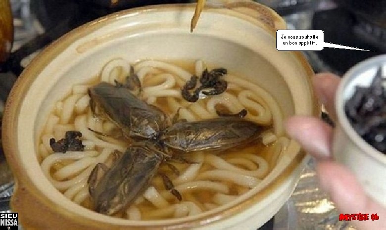 Je vous souhaite un bon appétit. 