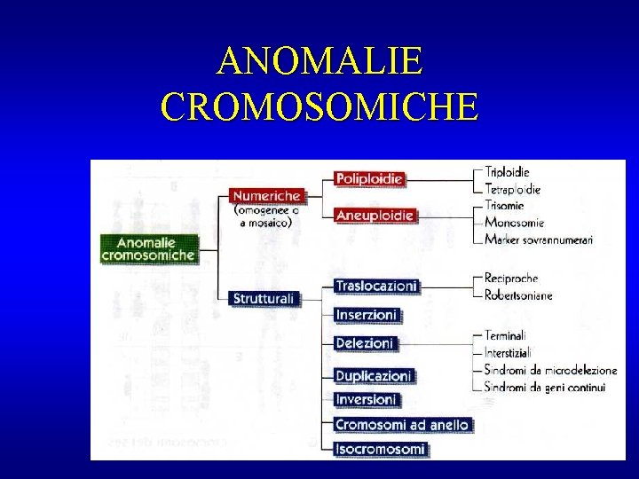 ANOMALIE CROMOSOMICHE 