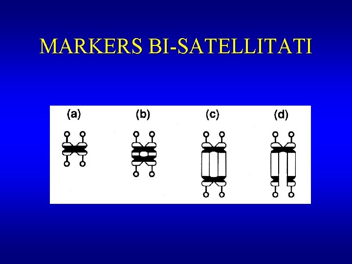 MARKERS BI-SATELLITATI 