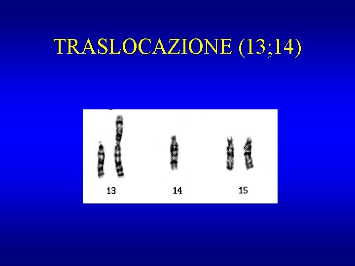 TRASLOCAZIONE (13; 14) 